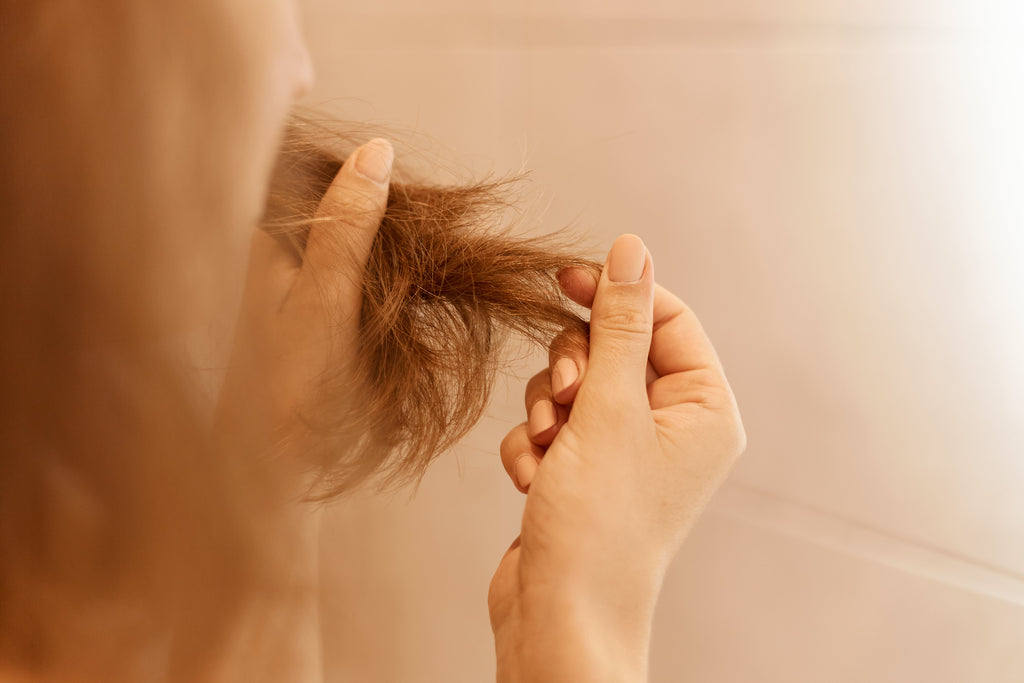 Causes of Split Ends & How to Care for Them